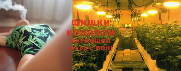 ПСИЛОЦИБИНОВЫЕ ГРИБЫ Заволжск