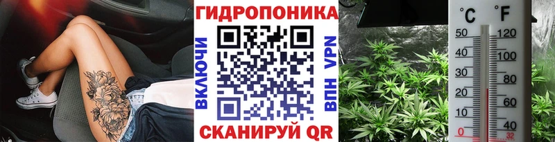 Марихуана OG Kush  KRAKEN как войти  Сосновый Бор 