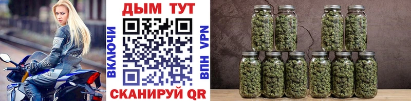 Каннабис индика Сосновый Бор